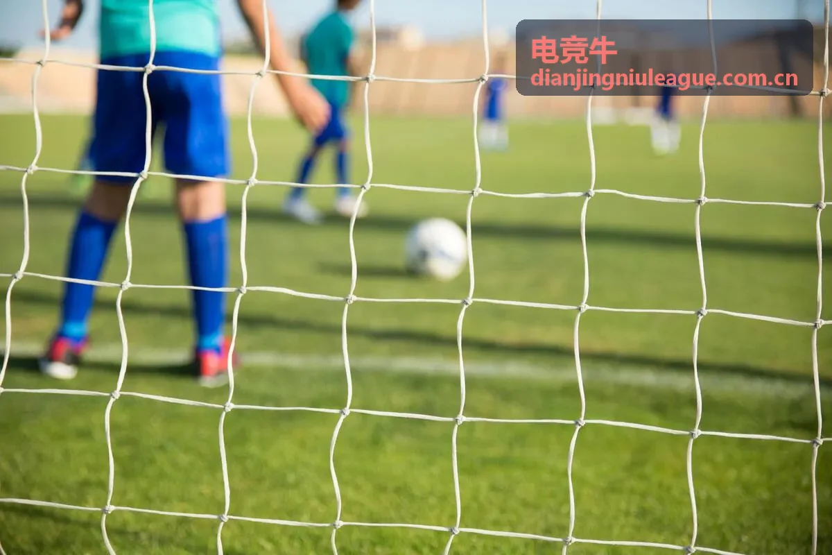 电竞牛牛人榜第二选手暗刃的赛场形象